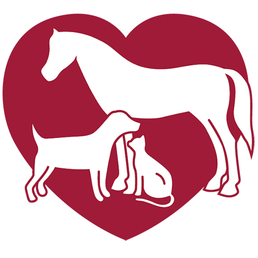 Veterinary Care Center of Valdosta Favicon