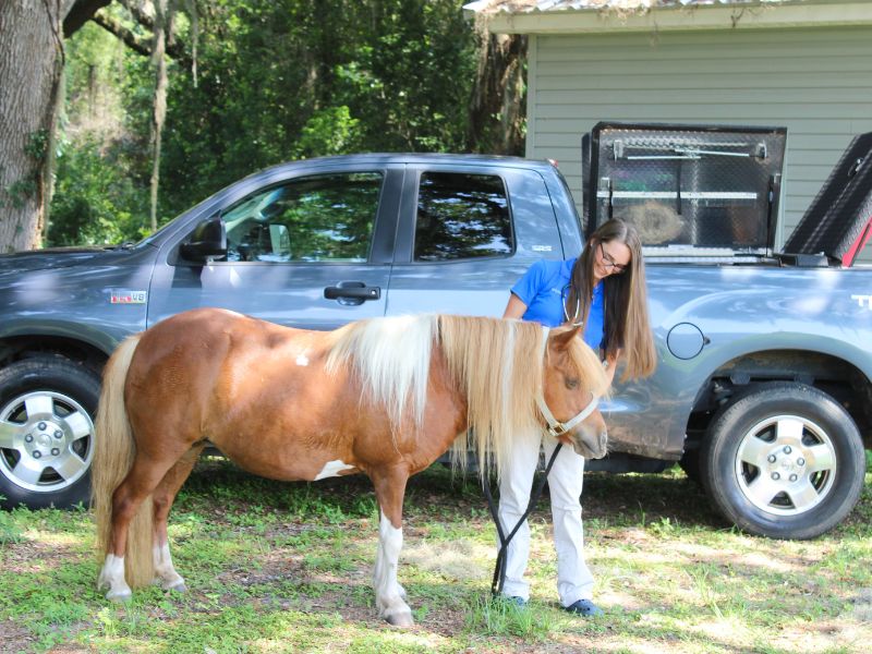 A woman gently pets a horse while standing in front of a parked truck