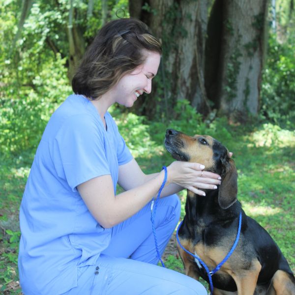 A woman in a scrub suit gently pets a dog