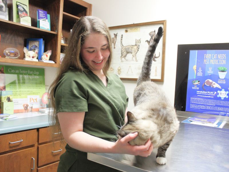 payment-bannern A woman wearing a green shirt gently pets a cat