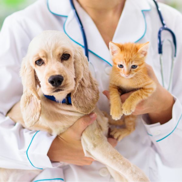 A woman in a white coat gently holds a dog in one arm and a cat in the other