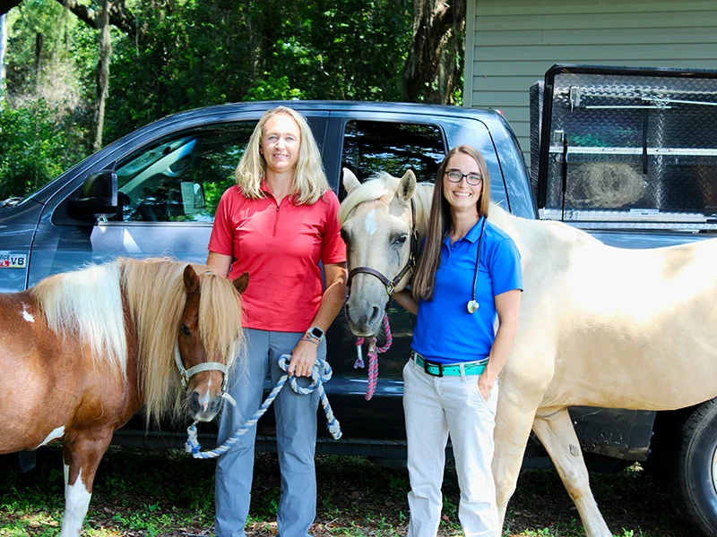 Dr. Thornhill and Dr. Capeli holding the reins of a miniature horse and a light-colored horse.