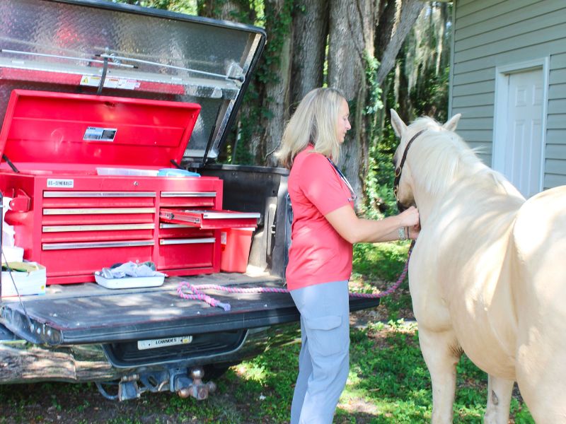 A woman gently pets a horse