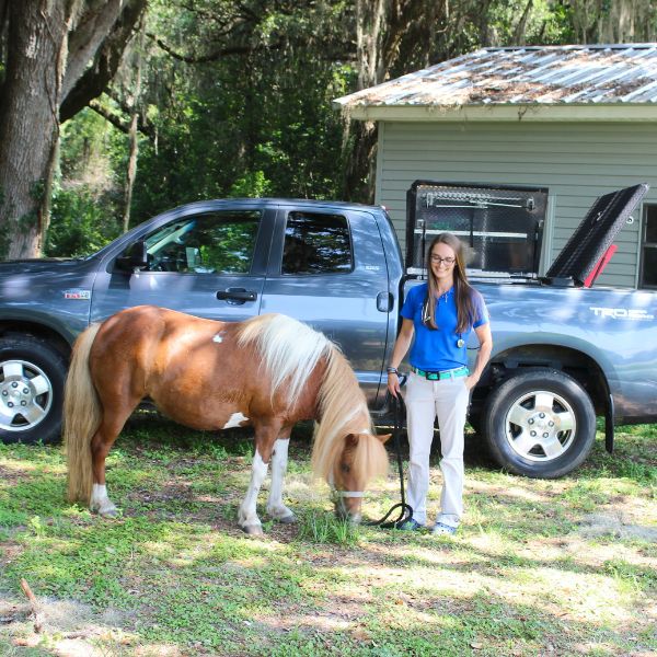 A woman stands beside a horse